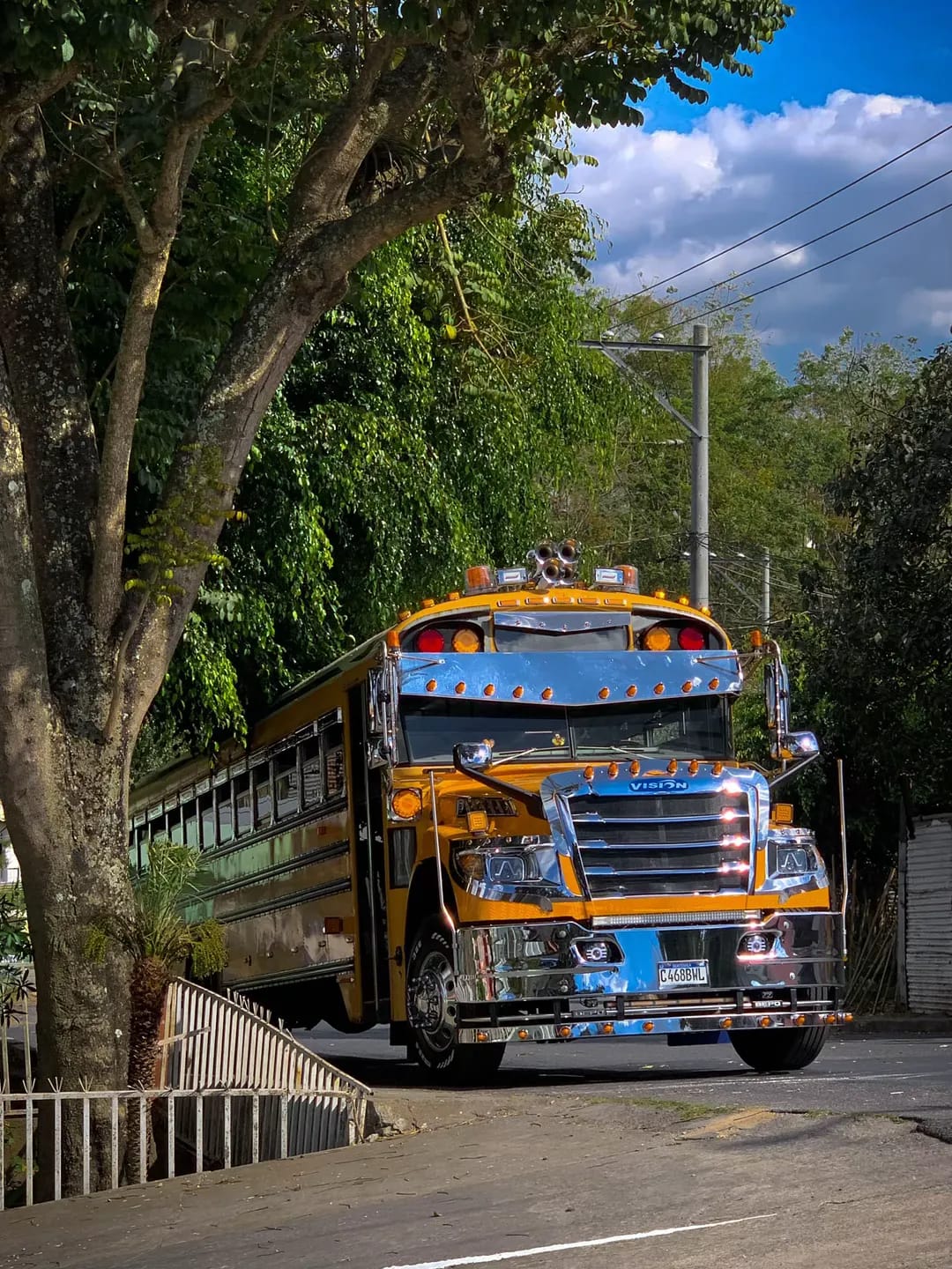 Transporte Escolar